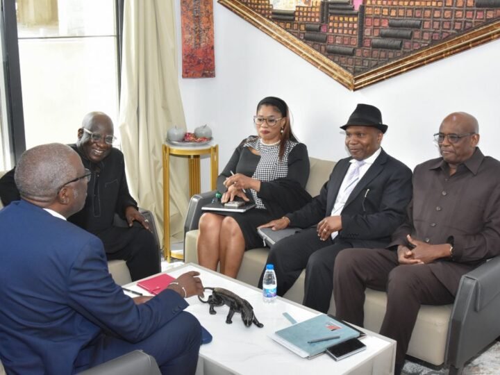 Rencontre entre le MEDS, MLS Consulting et Forum Afrique Expansion