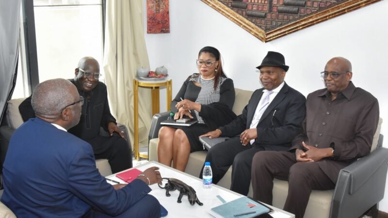 Rencontre entre le MEDS, MLS Consulting et Forum Afrique Expansion